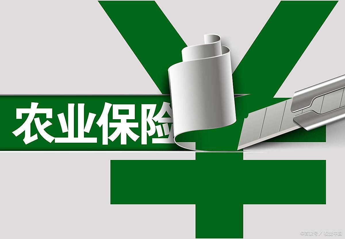 农业大棚保险在哪里买