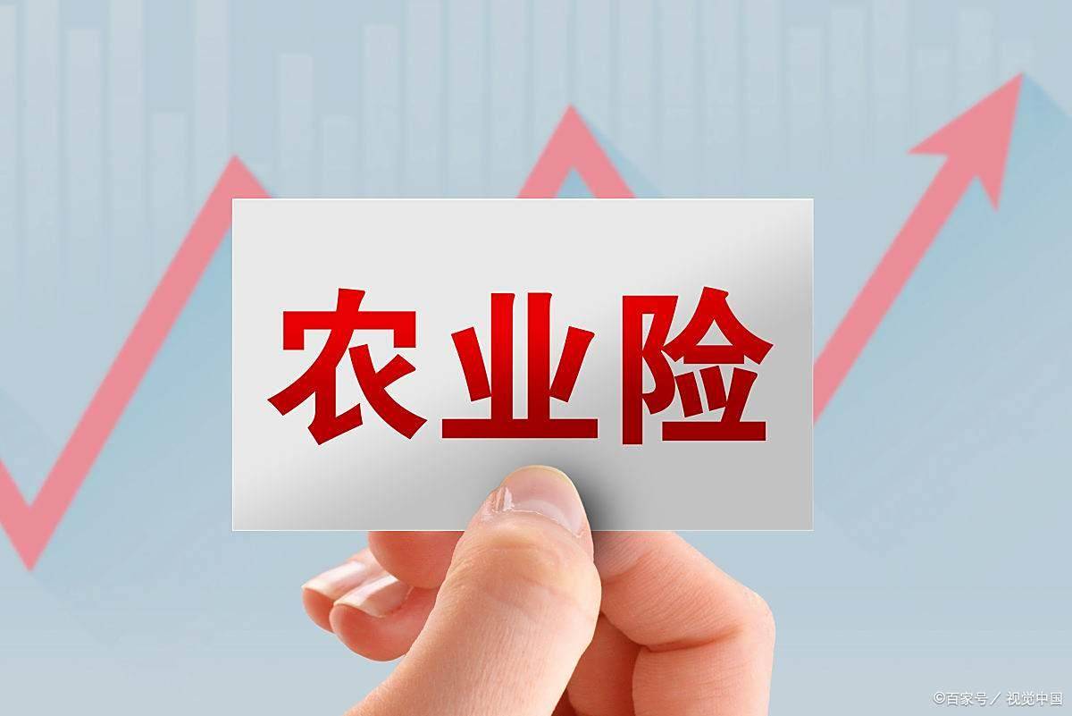 农业大棚保险在哪里买