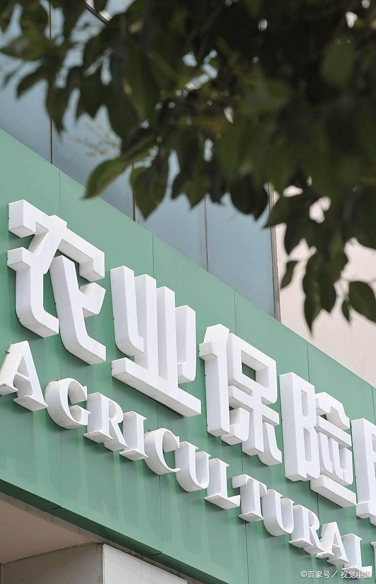农业大棚保险在哪里买