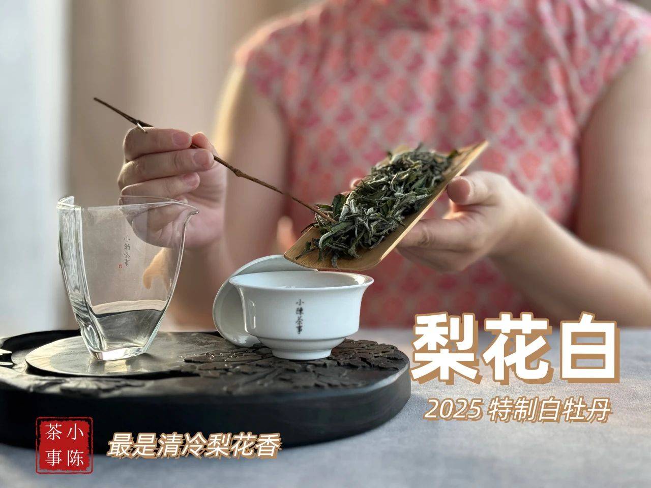 4大茶圈经典话术，专骗新手，看完再也不花冤枉钱