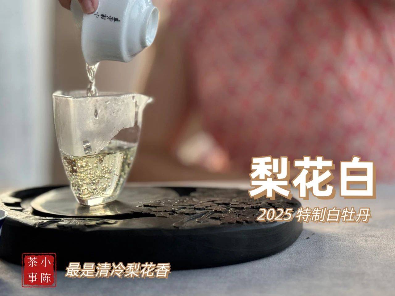 4大茶圈经典话术，专骗新手，看完再也不花冤枉钱