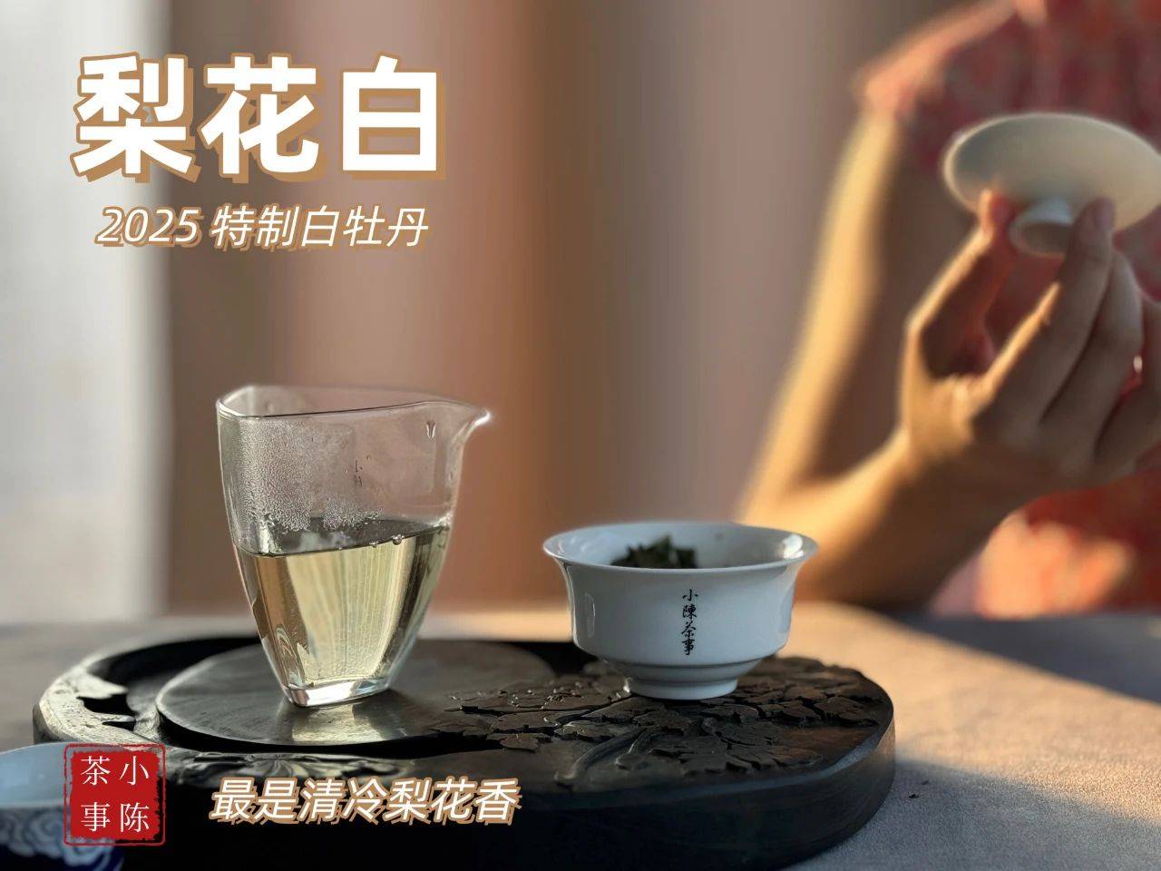 4大茶圈经典话术，专骗新手，看完再也不花冤枉钱