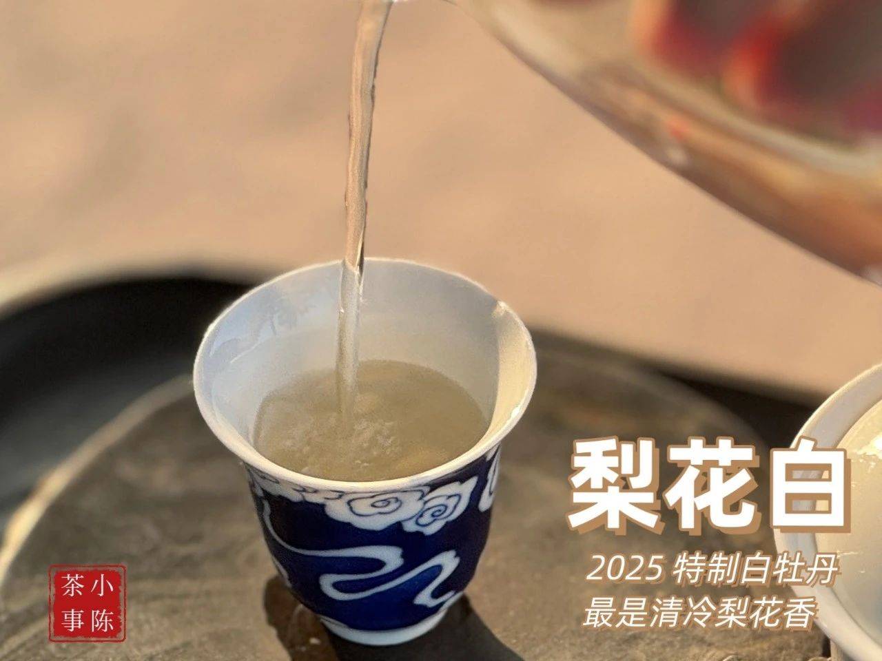 4大茶圈经典话术，专骗新手，看完再也不花冤枉钱