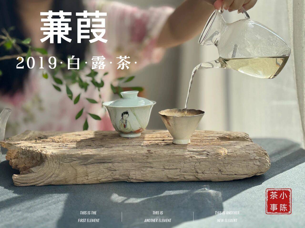 4大茶圈经典话术，专骗新手，看完再也不花冤枉钱