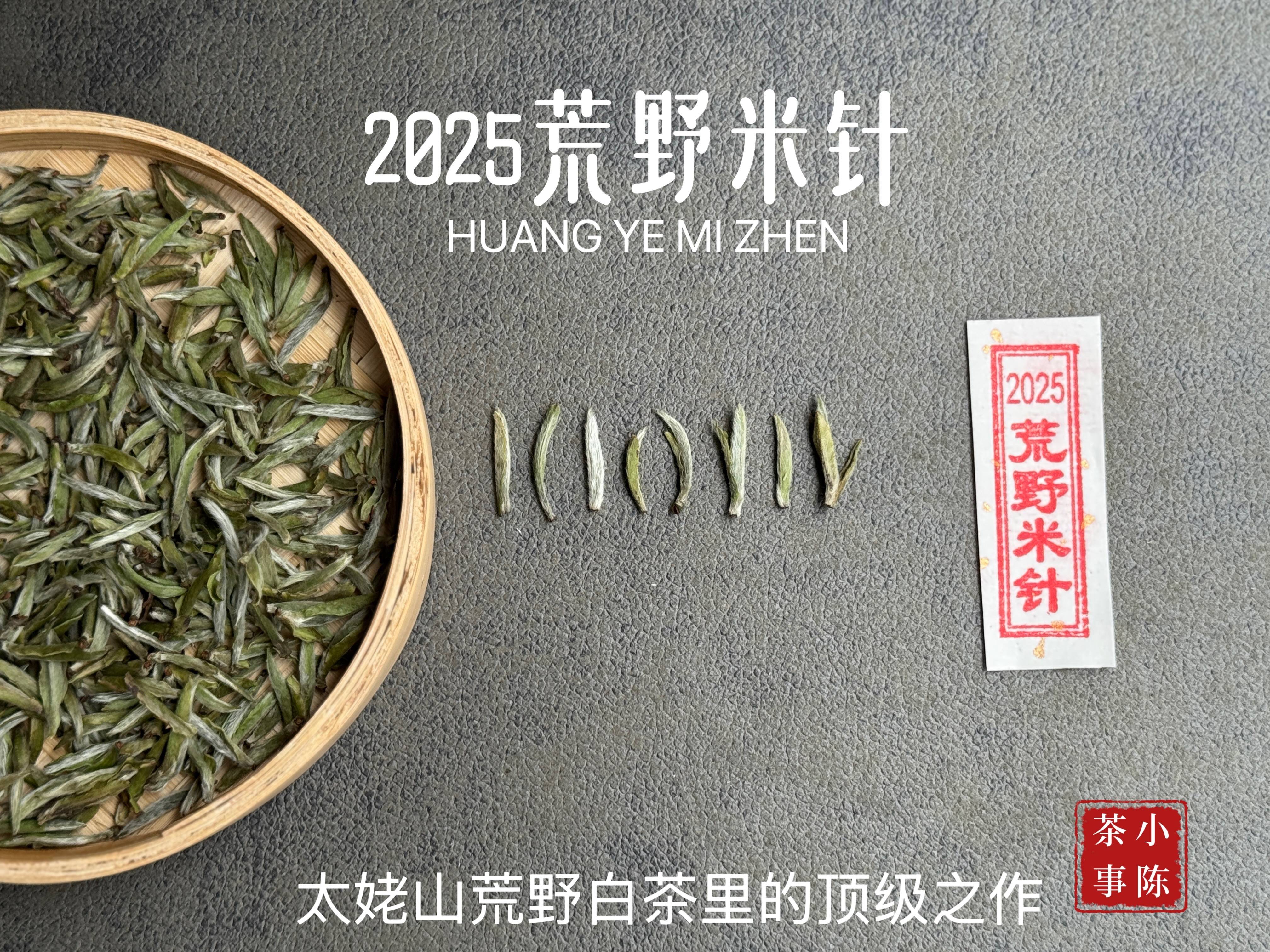 4大茶圈经典话术，专骗新手，看完再也不花冤枉钱
