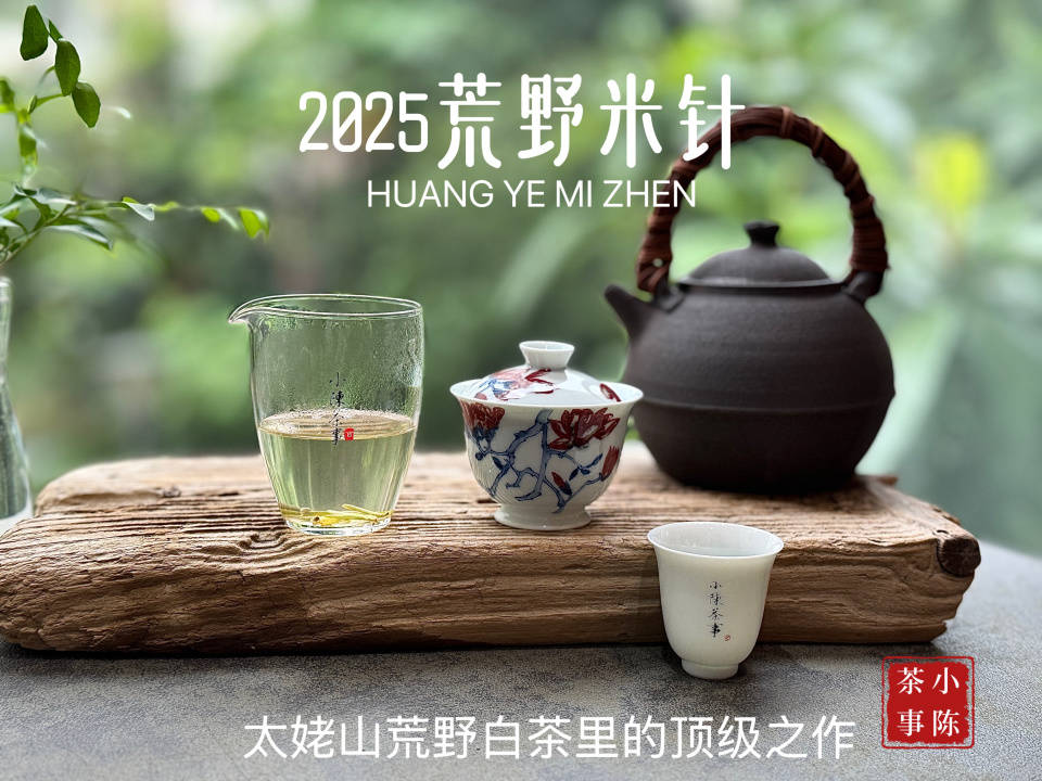 4大茶圈经典话术，专骗新手，看完再也不花冤枉钱