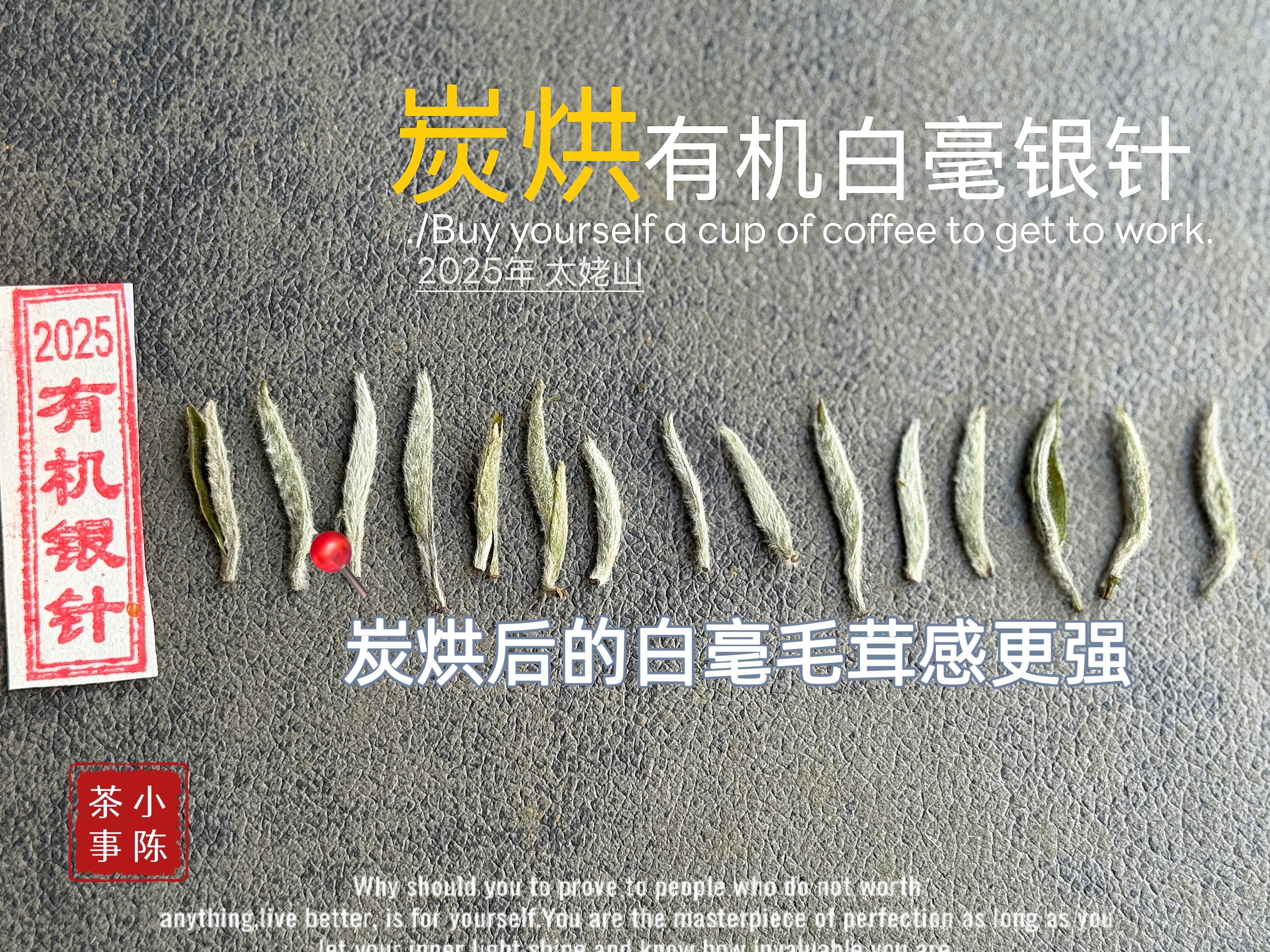 4大茶圈经典话术，专骗新手，看完再也不花冤枉钱