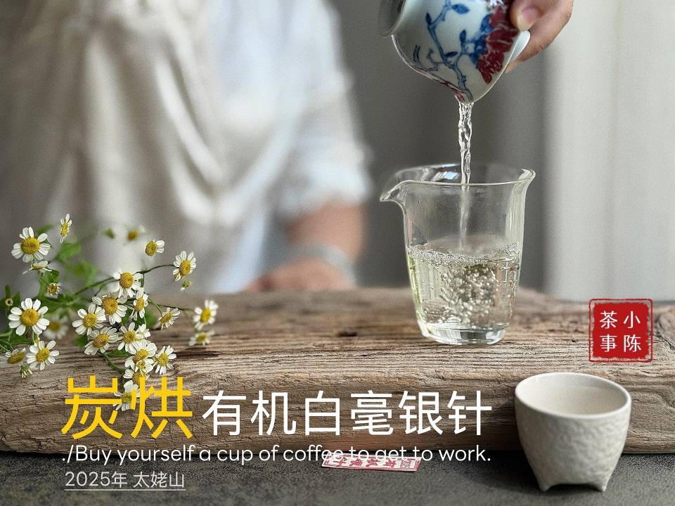 4大茶圈经典话术，专骗新手，看完再也不花冤枉钱
