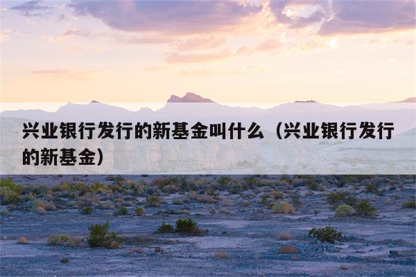 兴业银行有什么理财(兴业银行有什么理财产品保本型?)