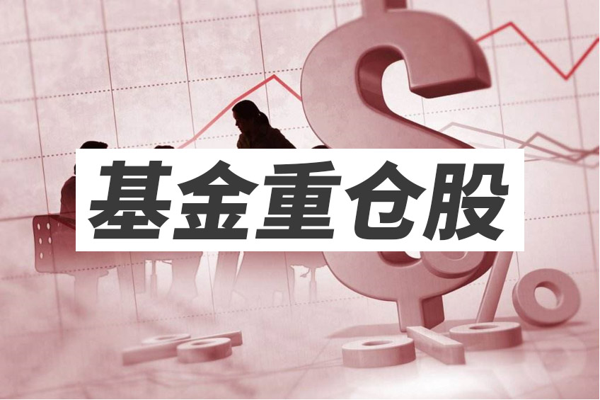 理财基金股票(理财基金股票哪个风险低)