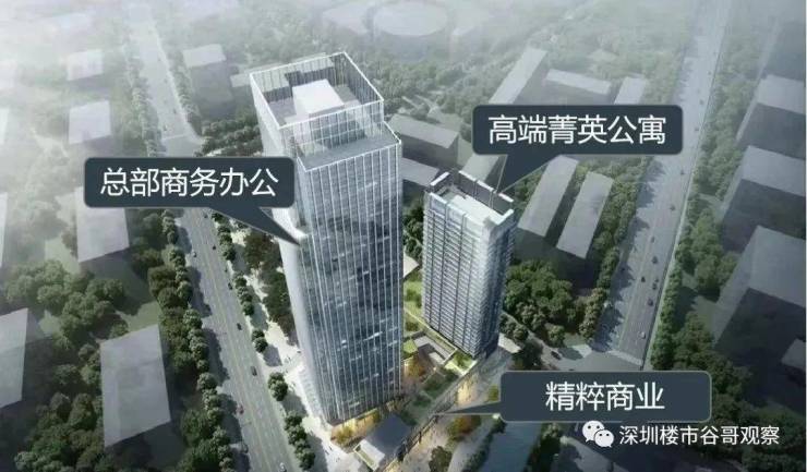 中晟理财(中晟理财最新消息今天)