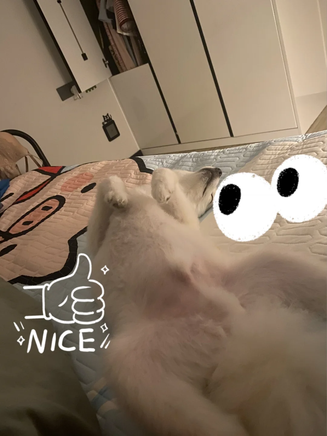 NICEX(逆侧旋发球教学视频)