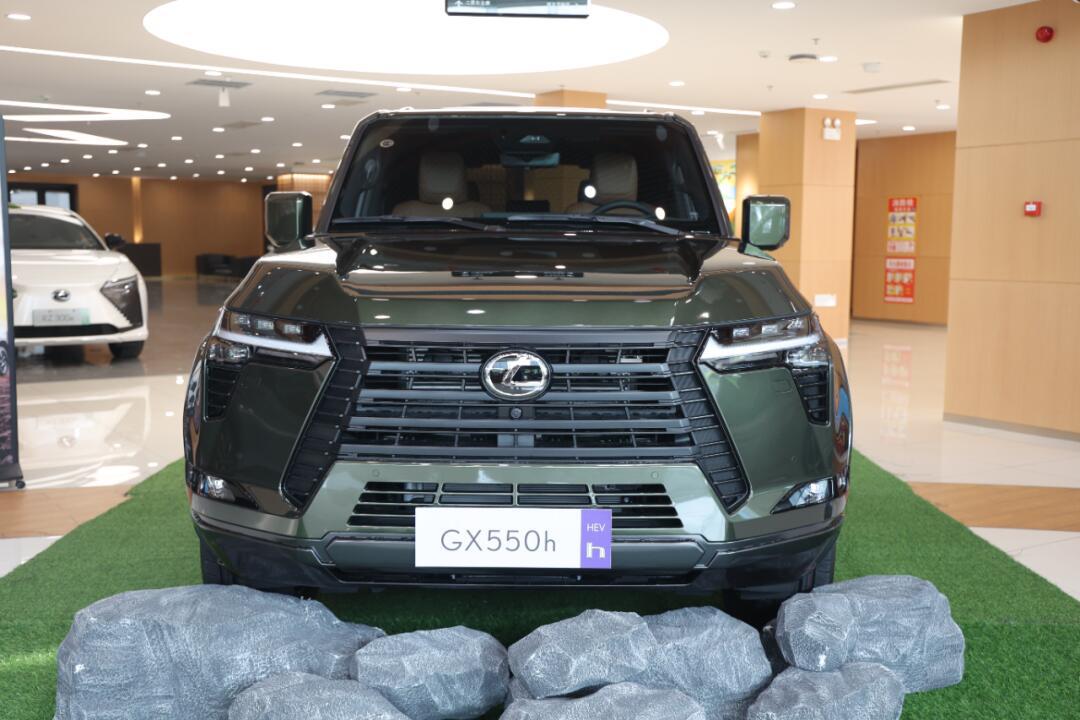 GX(gxg加盟费及加盟条件)