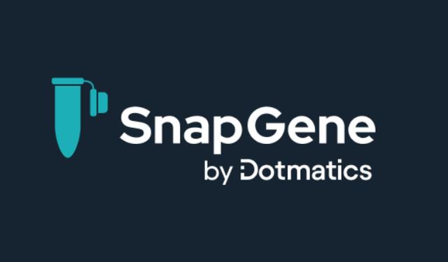 SnapEx(SnapexFX服务器)