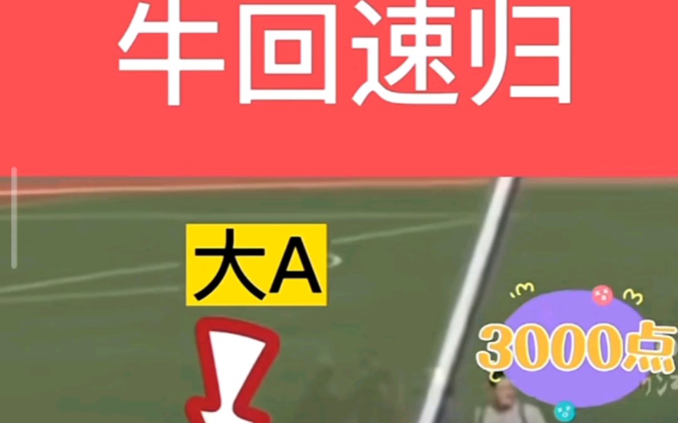 A牛(阿牛爱捕鱼百家号)