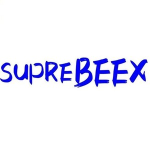 BeeX(bee下载安卓版)