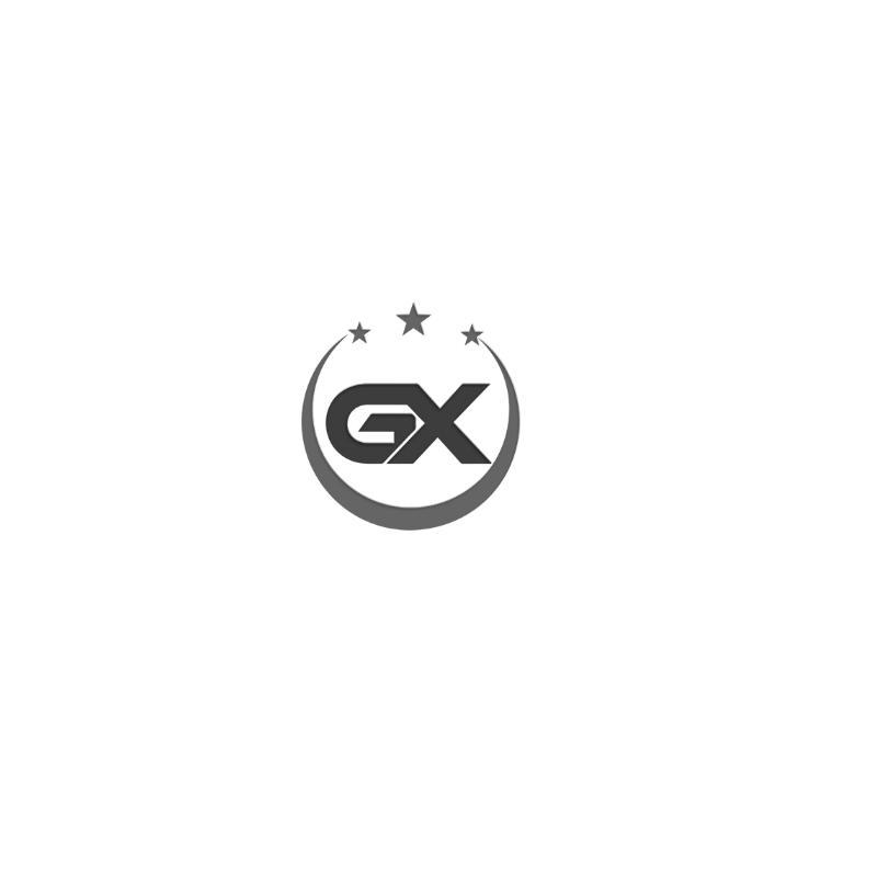 GX(gx什么意思)