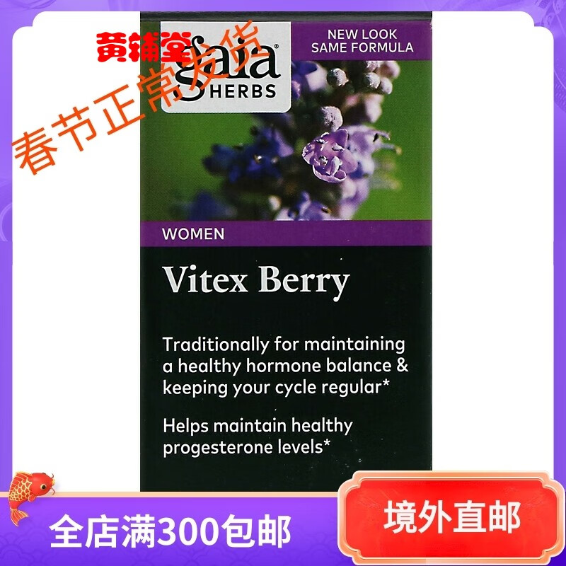 ViteX(vite官网下载)
