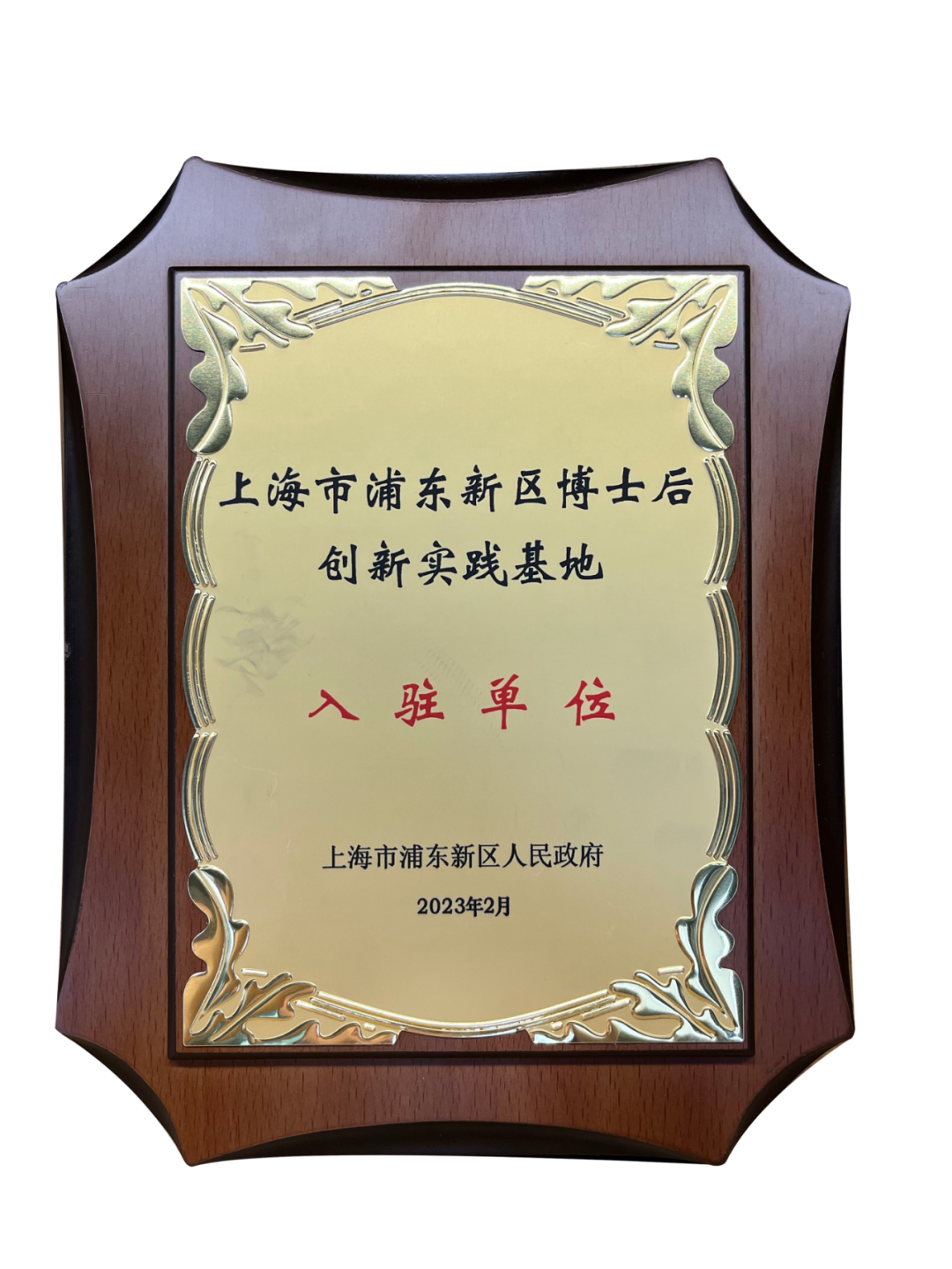 数交所(数交所交易平台)